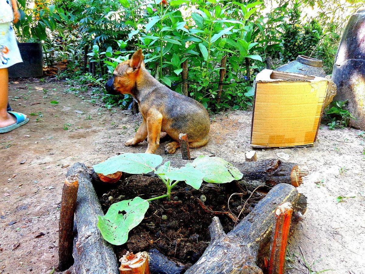Coco Happy Farm Villa Ben Tre Eksteriør billede