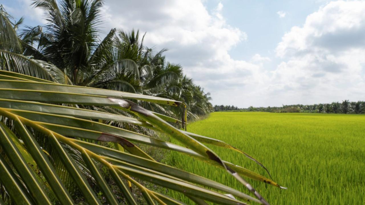 Coco Happy Farm Villa Ben Tre Eksteriør billede