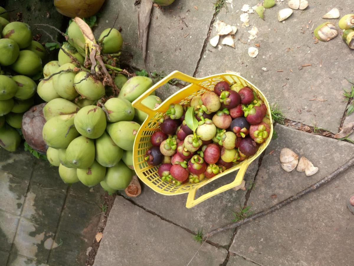 Coco Happy Farm Villa Ben Tre Eksteriør billede