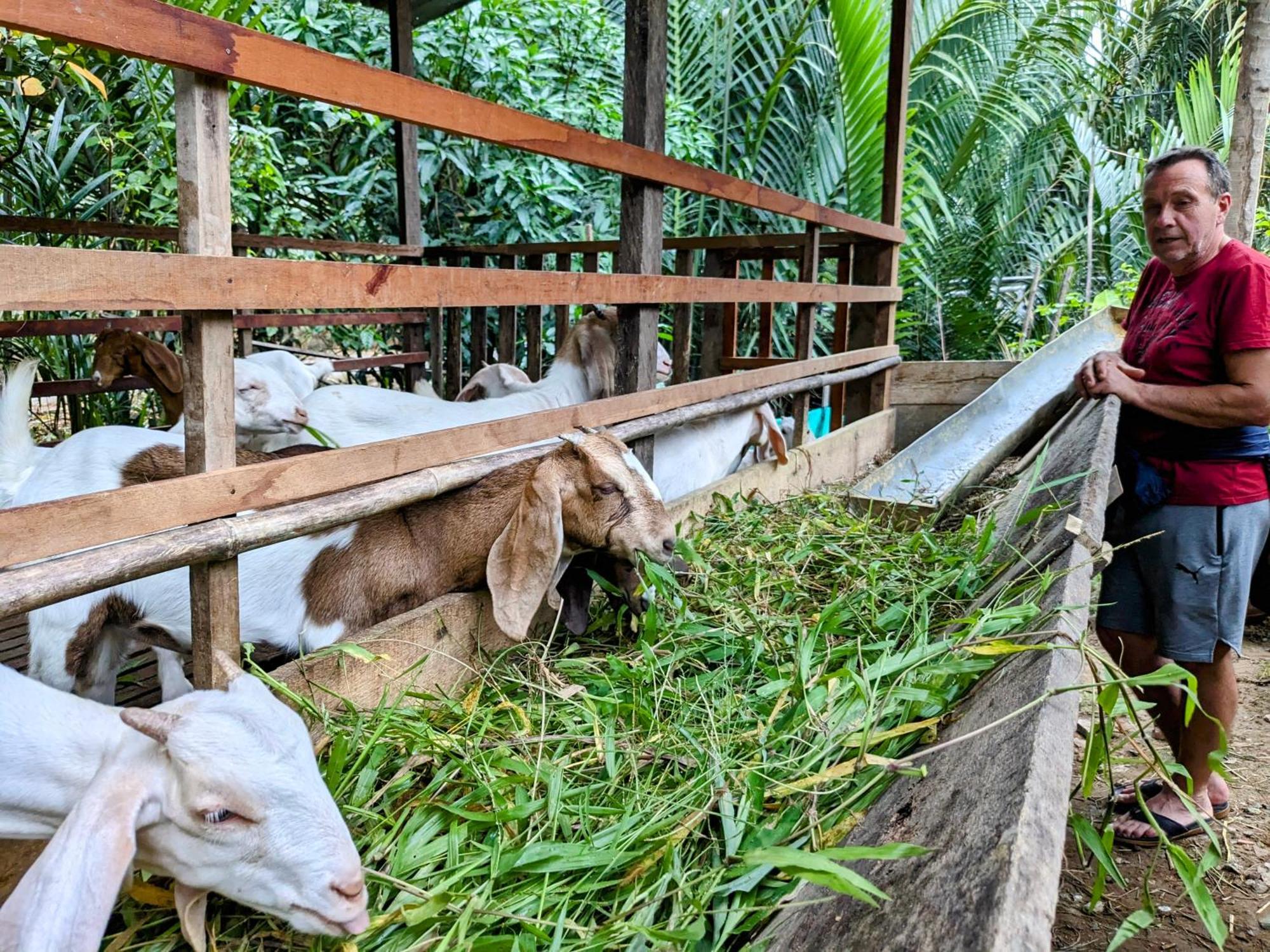 Coco Happy Farm Villa Ben Tre Eksteriør billede